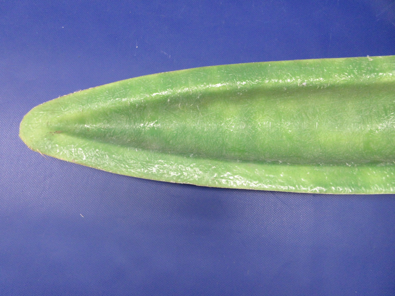 Jacobs Radial Fiberglass Cowl Bumps / Blisters LOT OF 5 (1025-415)