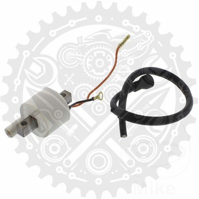 Neue Zündspule 12V für Yamaha BL 125 Beluga