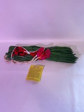 Hawaiian Hula, Grass Skirt, Set Hula Dancer, shell neckless, Bikini Top Hawaii