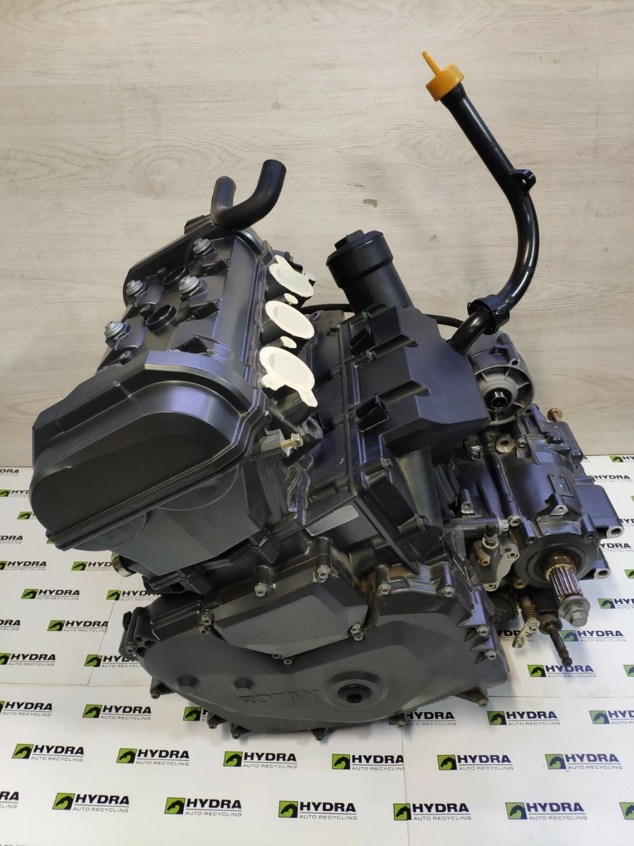 Rotax 1330 ace deals