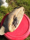 Bild 7 von 12