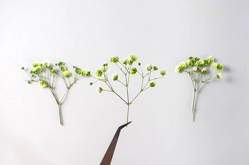 Dried Pressed Flowers Natural Epoxy Resin Candle Nail Art Scrapbooking Craft AU - Picture 164 of 210