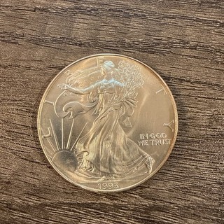 1993 United States 1 Dollar American Silver Eagle 1 oz. Fine Silver Coin