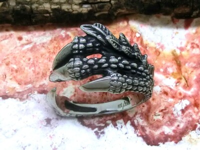 Drachenkralle Klaue Ring Edelstahl Gr. 64 Drachenring verstellbar Gothic Fantasy