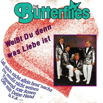 The Butterflies-Weißt Du den was Liebe ist CD gebraucht Zustand.gut