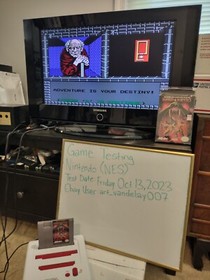 Swords and Serpents (NES 1990) CIB + Case Protector VGC Cleaned & Tested VINTAGE