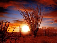 Landscape sunset cactus badlands mountains Custom Gaming Mat Desk