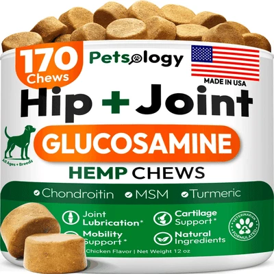 PETSOLOGY Hemp Hip and Joint Supplement for Dogs Glucosamine for Dogs 170 Mobility