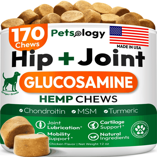 Hemp Hip and Joint Supplement for Dogs   Glucosamine for Dogs   170 Mobility - Picture 1 of 8