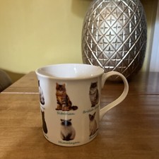 The Leonardo Collection Cats Mug Designed In U.K.  Fine China