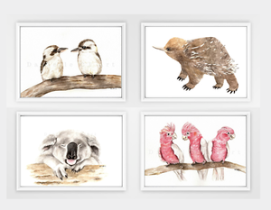 australian animals nursery prints