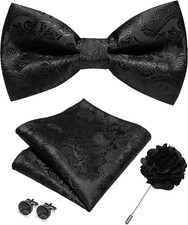 Paisley Pre-tied Bow Tie and Pocket Square Cufflinks Lapel Pin Sets for Men 4PCS