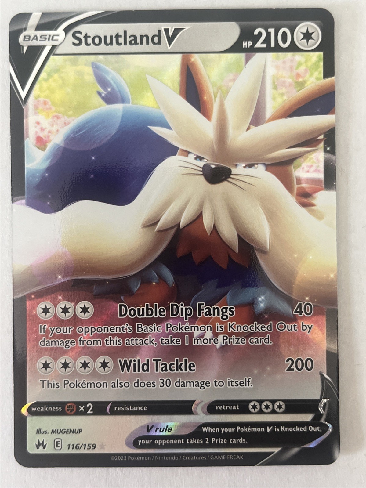 Stoutland V 116/159 Crown Zenith Ultra Rare Full Art Pokemon TCG Holo Card NM