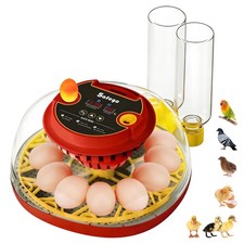 Incubators for Hatching Eggs: Chicken Quail Duck Bird Chick Egg Incubator kit...