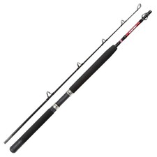 PENN Warfare Boat 602 30lb Bootsrute Meeresru...