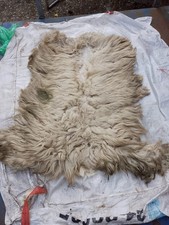 Scottish Blackface Fleece raw and unwashed