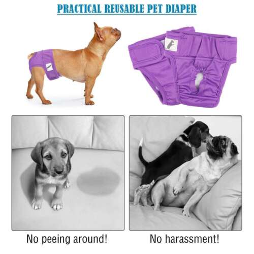 Reusable & Washable Dog Diapers (1 Pack) - for Female Dogs - Heat Incontinence - Picture 5 of 16
