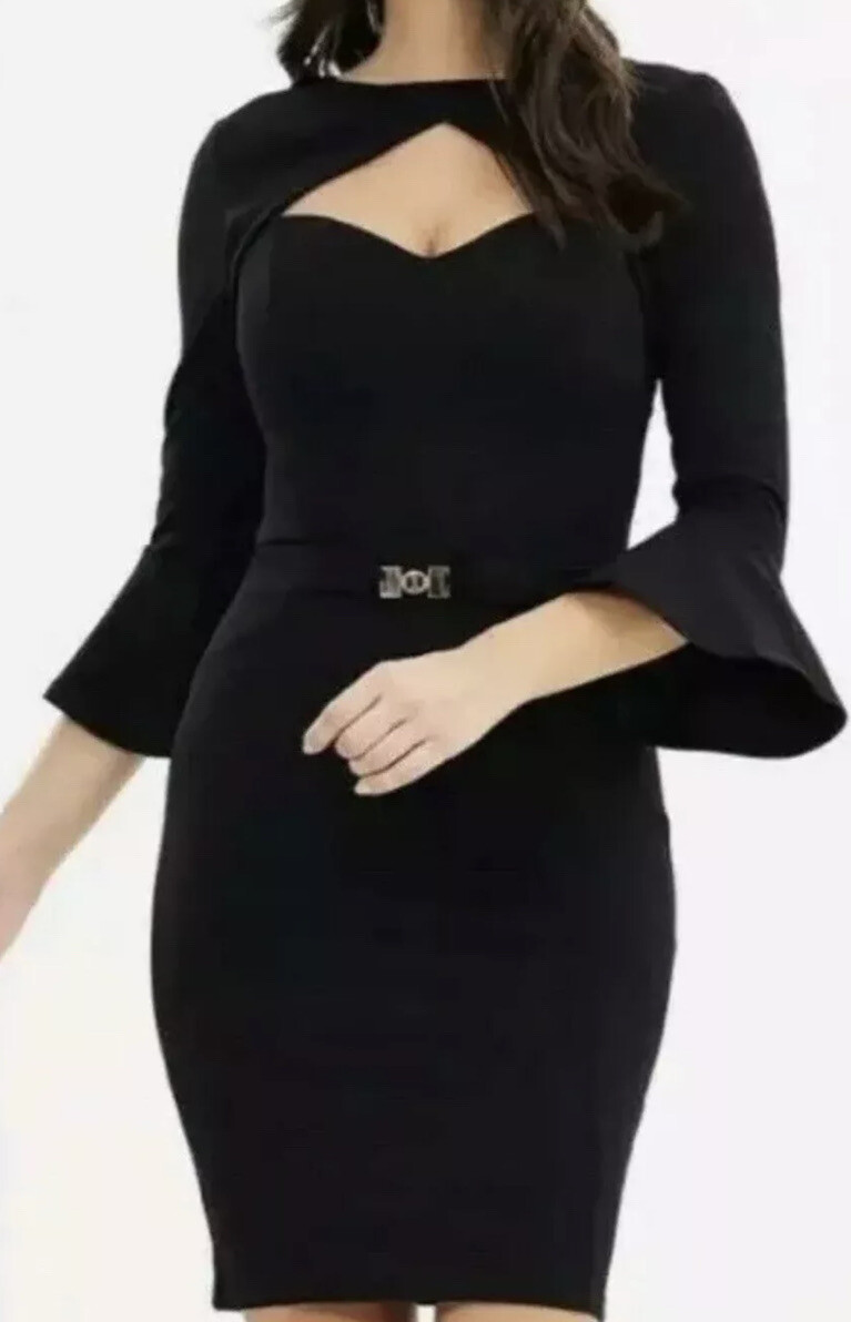 lipsy flute sleeve dress