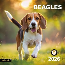 2026 Beagle Wall Calendar, 12"x24", Monthly Organizer for Planning Gifts