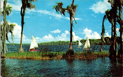 Postcard Lake Santa Fe, near Gainesville, Florida - Sail boats