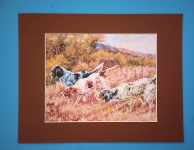 11'' x 14'' Matted 8'' x 10'' Print of Picture of 3 Hunting Dogs -Setters & Pointers