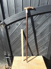 Antique Walking Stick with Horn handle and Hallmarked Silver Collar -B.1927  (M