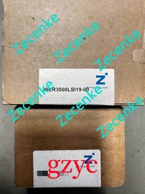 1PC New ZIMMER WER3000LSI19-00 cylinder Fast shipping via FedEx or DHL*Y