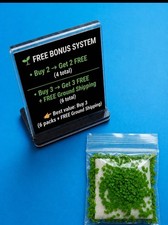 Live Aquarium Plants Duckweed Lemna Minor Floating Indoor Plant Nitrate