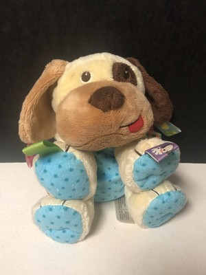 tag dog toy
