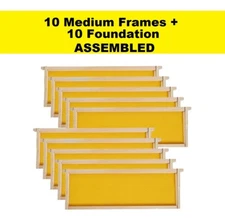 Beekeeping Equipment 10 Medium Frames + 10 Foundation ASSEMBLED For Super Boxes