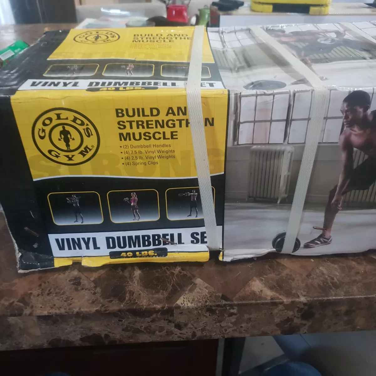 Gold's gym 40 pound lb vinyl cement dumbbell weight set sale