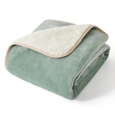 Bedsure Waterproof Dog Blankets for Small Dogs - S 25x35" , Light Green