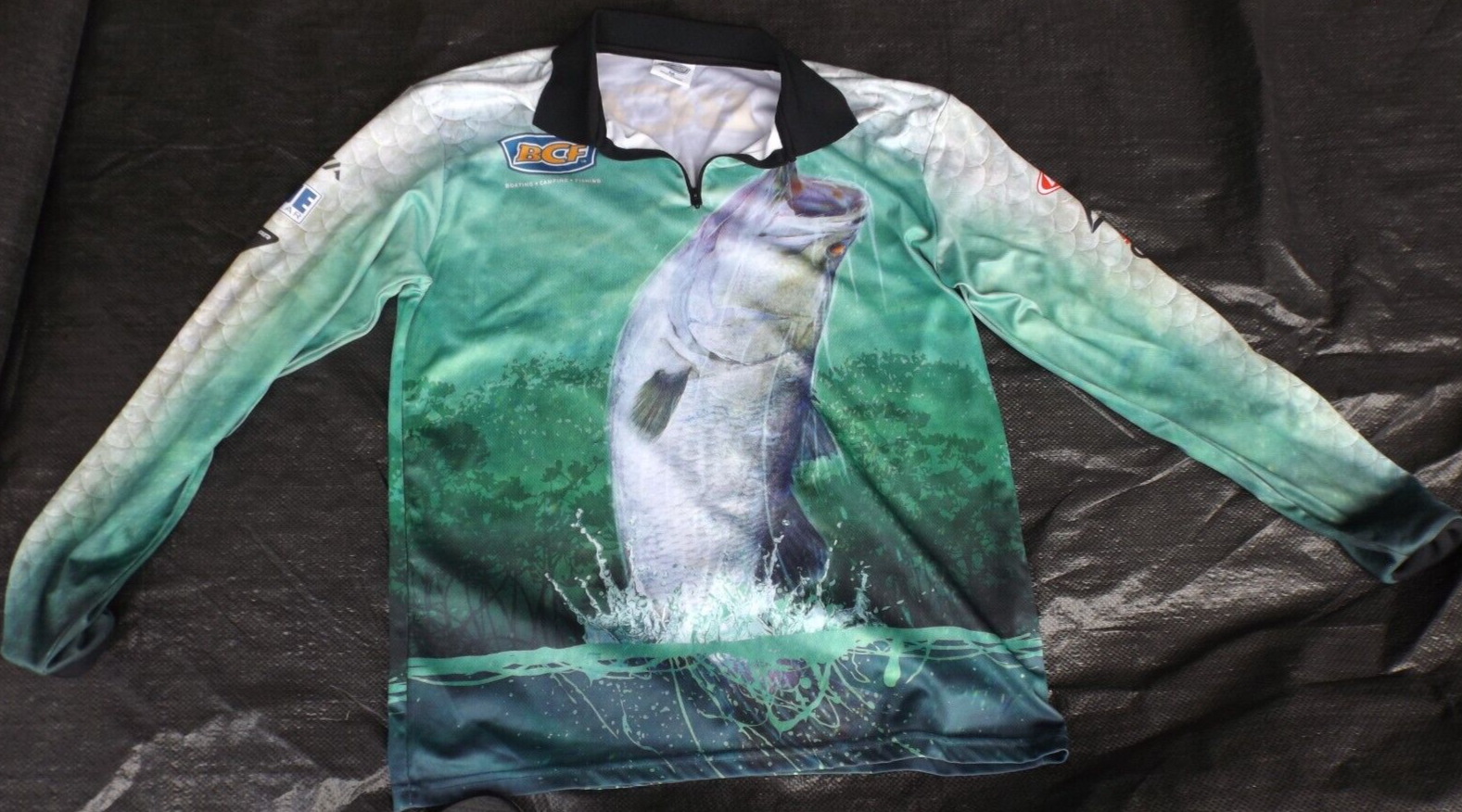 Picture 1 of 1