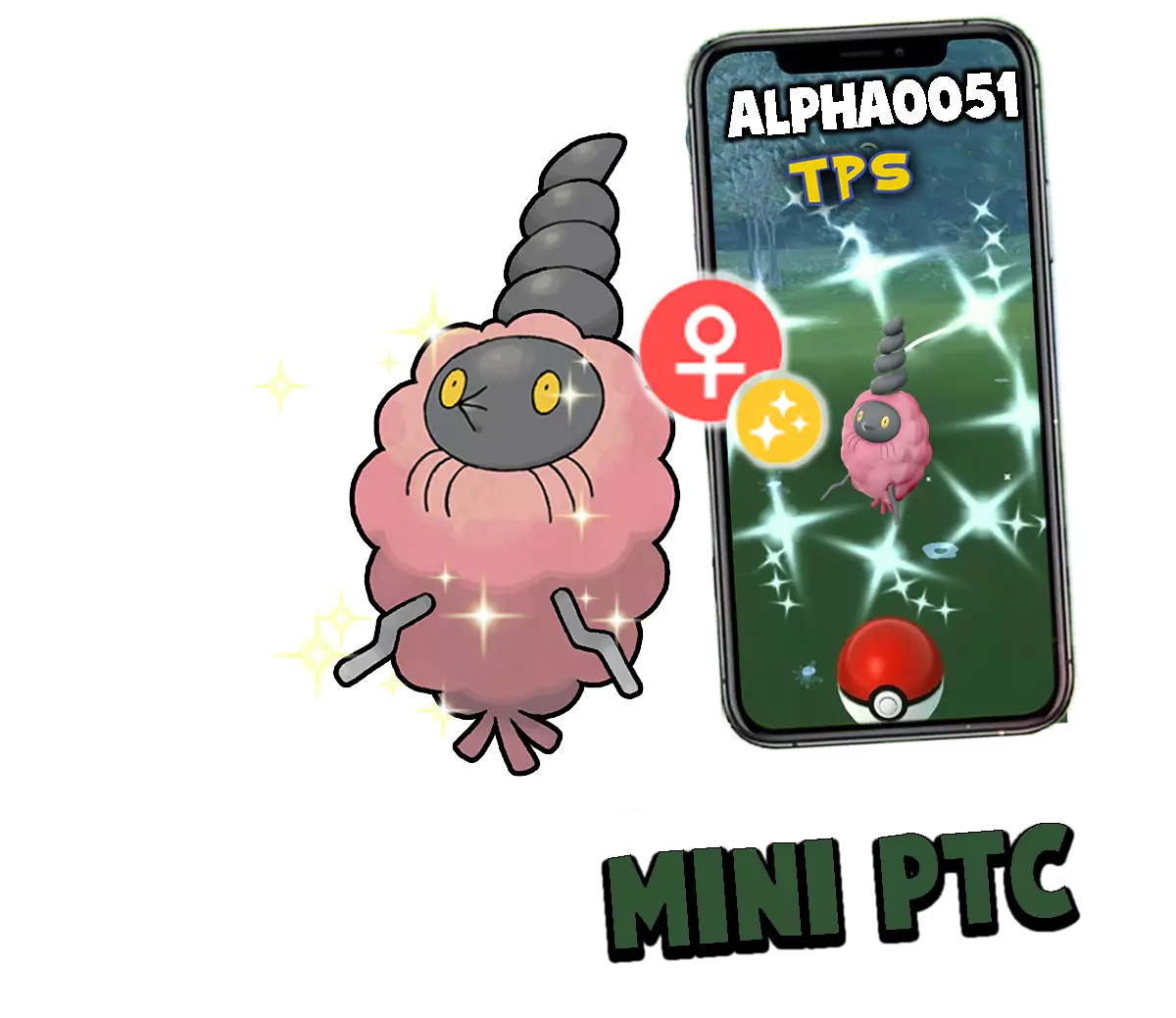 Pokemon Shiny Burmy Trash Female Mini P T C 60k