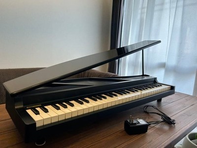 KORG microPIANO 61 Tasten Mini Keyboard Digitalpiano Demo Songs Auto Play 2010