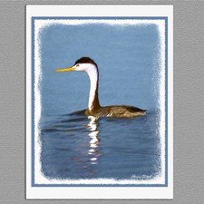 6 Clark's Grebe Wild Bird Blank Art Note Greeting Cards