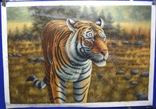 Hand painted Oil painting On Canvas 36"x24" Lone Tiger, Unigned, 5R47