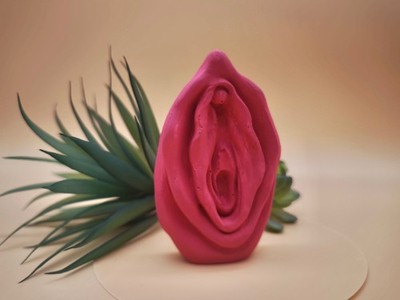 Vagina 3D Abdruck Vulva Intimabdruck pink Deko Kunst