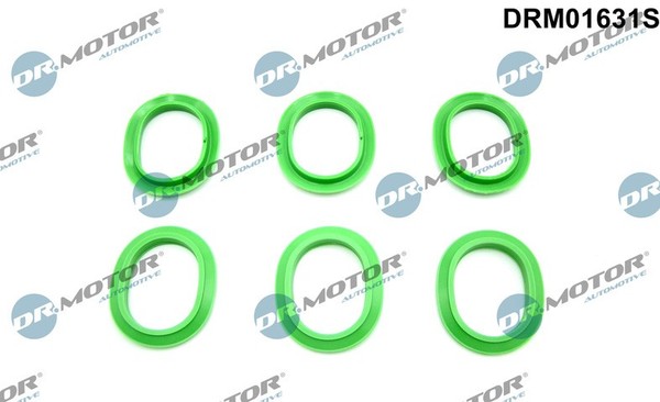Dichtungssatz, AnsaugkrÜMmer Oben - Dr.Motor Automotive DRM01631S-image