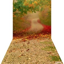 10'x20' Computer-painted Forest Trail Autumn Scenic background backdrop SD036