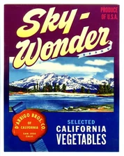 SKY-WONDER~ORIGINAL '40s SAN JOSE CALIFORNIA D'ARRIGO BROS VEGETABLE CRATE LABEL