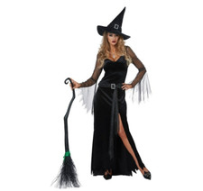Rich Witch Women's Halloween Costume
