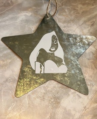 Metal Star Sign With Jessica Rabbit Decal | eBay