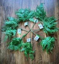 NEW 13 Pcs Artificial Plastic Plants: 7 Boston Fern Grass & 6 Ferns w/ Berries 