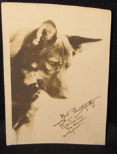 Rin Tin Tin Signed Photo 1931~ Ken-L-Ration/Chapel Bros. Promotional Photo 7"x5"