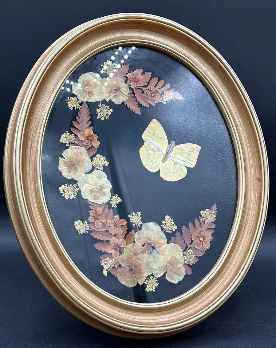 Vintage Pressed Flowers Butterfly Taxidermy Oval Frame MCM