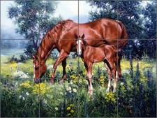 Horse Tile Backsplash Shower Sorenson Equine Art Ceramic Mural RW-JS048