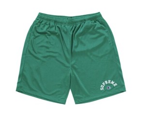 Supreme Champion Shorts | eBay