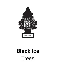 Little Trees Car Air Freshener Black Ice 2-6 Pack (12 Count)