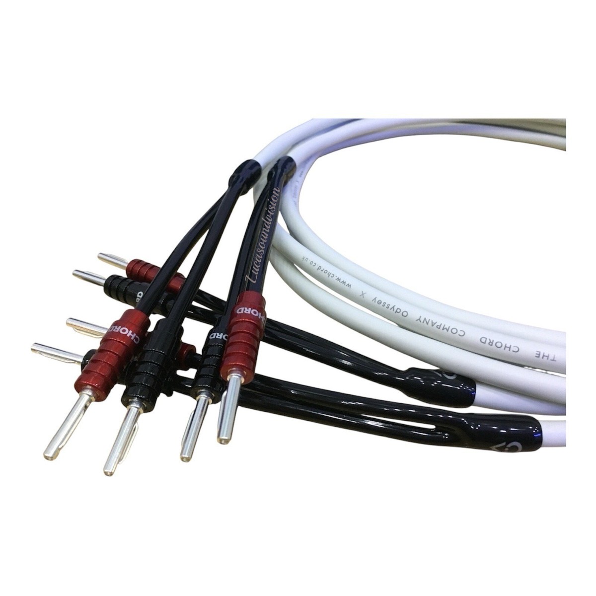 THE CHORD COMPANY odyssey2 約2m 1ペア Chord Odyssey X Audio Speaker Cable A Pair Terminated Chord Ohmic